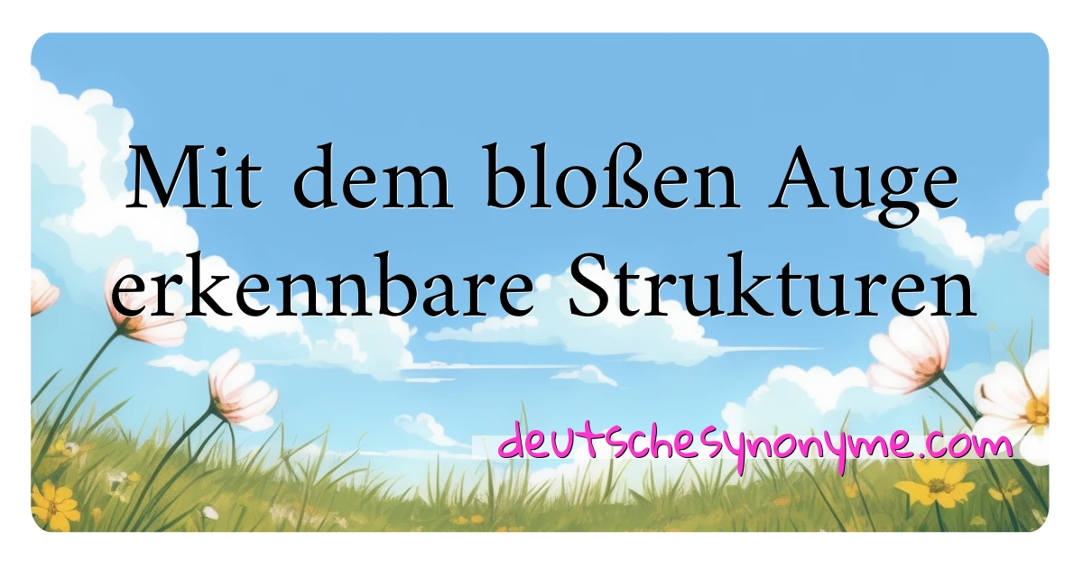 Mit dem bloßen Auge erkennbare Strukturen Synonyme Kreuzworträtsel bedeuten Erklärung und Verwendung