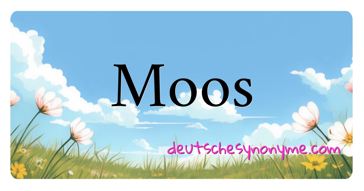 Moos Synonyme Kreuzworträtsel bedeuten Erklärung und Verwendung