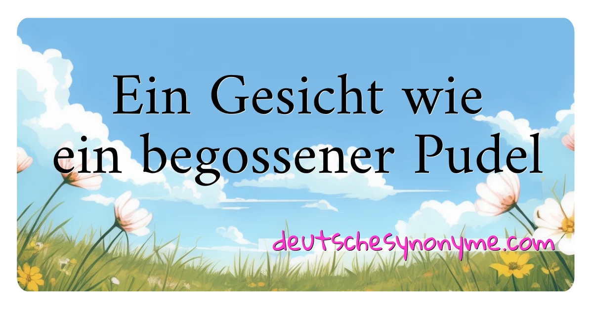 Ein Gesicht wie ein begossener Pudel Synonyme Kreuzworträtsel bedeuten Erklärung und Verwendung