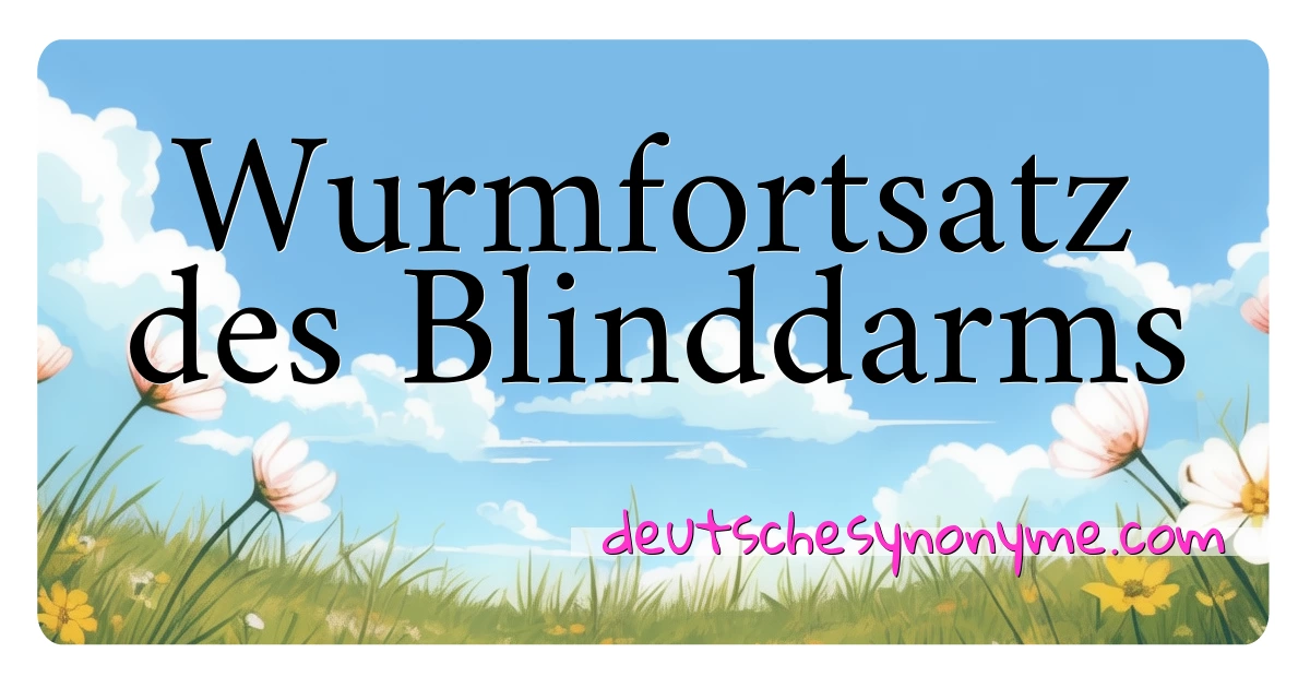 Wurmfortsatz des Blinddarms Synonyme Kreuzworträtsel bedeuten Erklärung und Verwendung