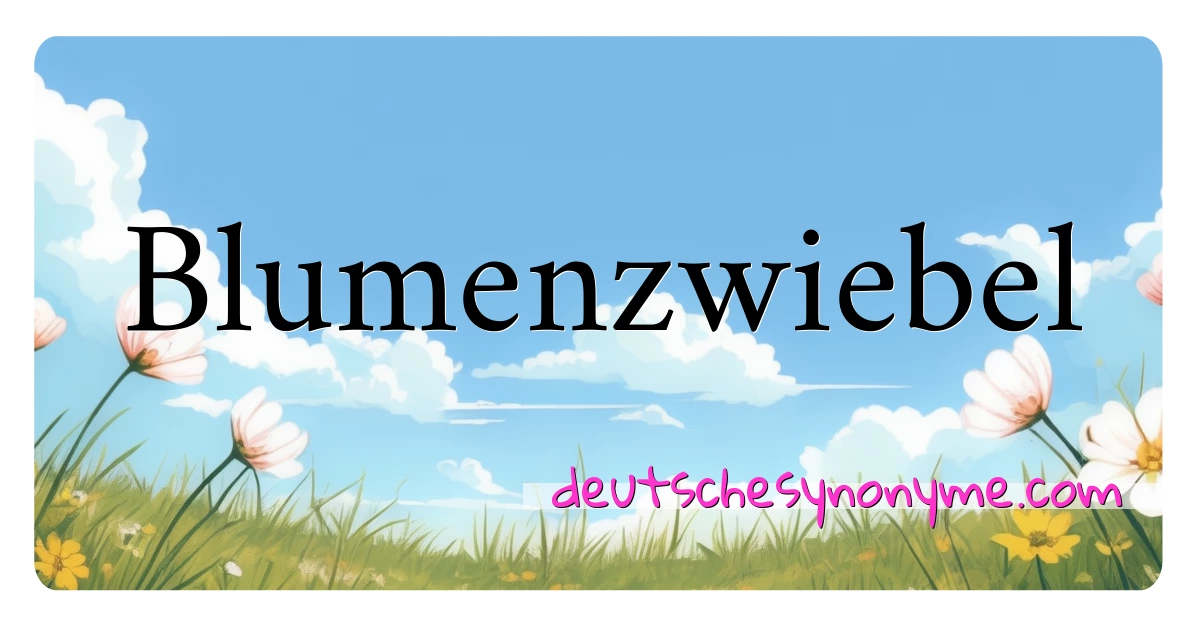 Blumenzwiebel Synonyme Kreuzworträtsel bedeuten Erklärung und Verwendung