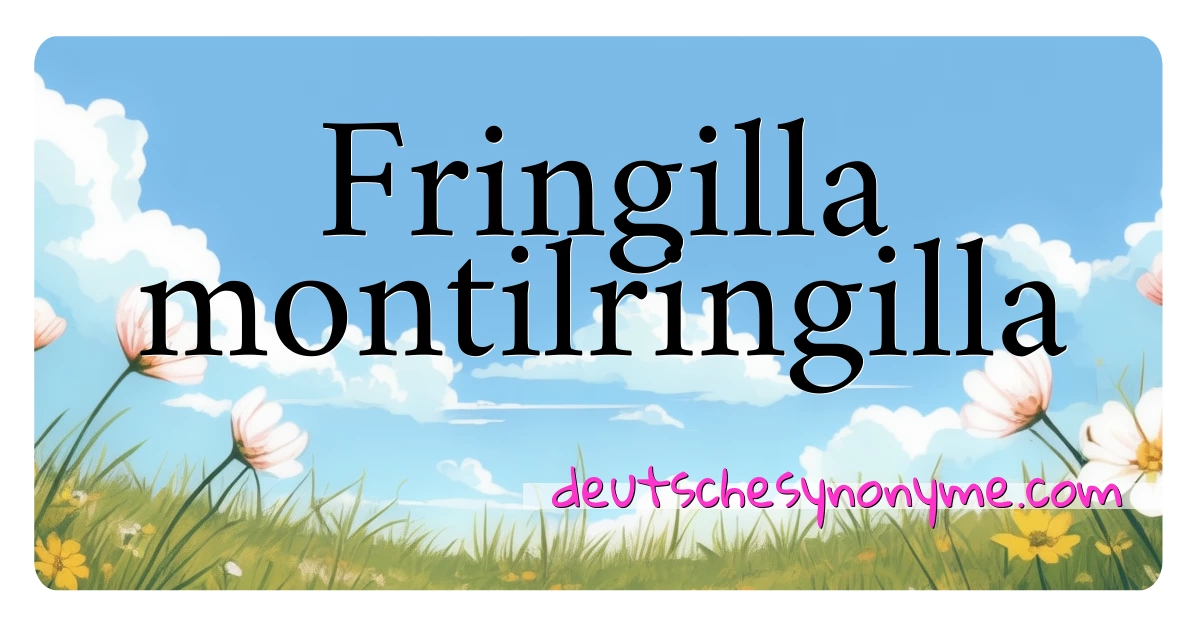 Fringilla montilringilla Synonyme Kreuzworträtsel bedeuten Erklärung und Verwendung