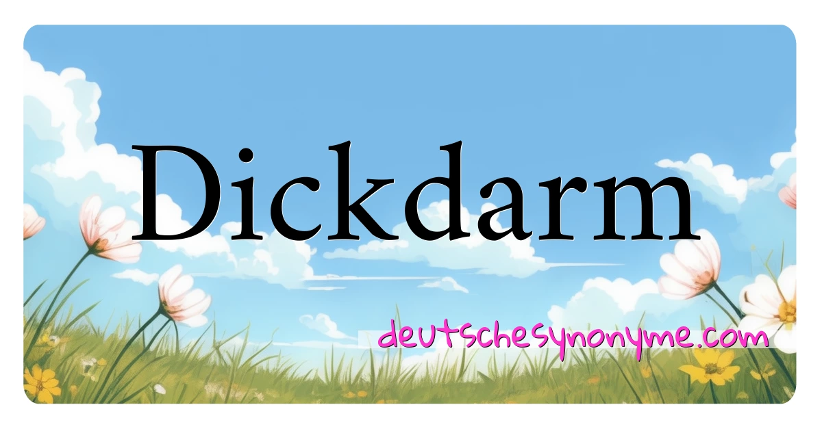 Dickdarm Synonyme Kreuzworträtsel bedeuten Erklärung und Verwendung