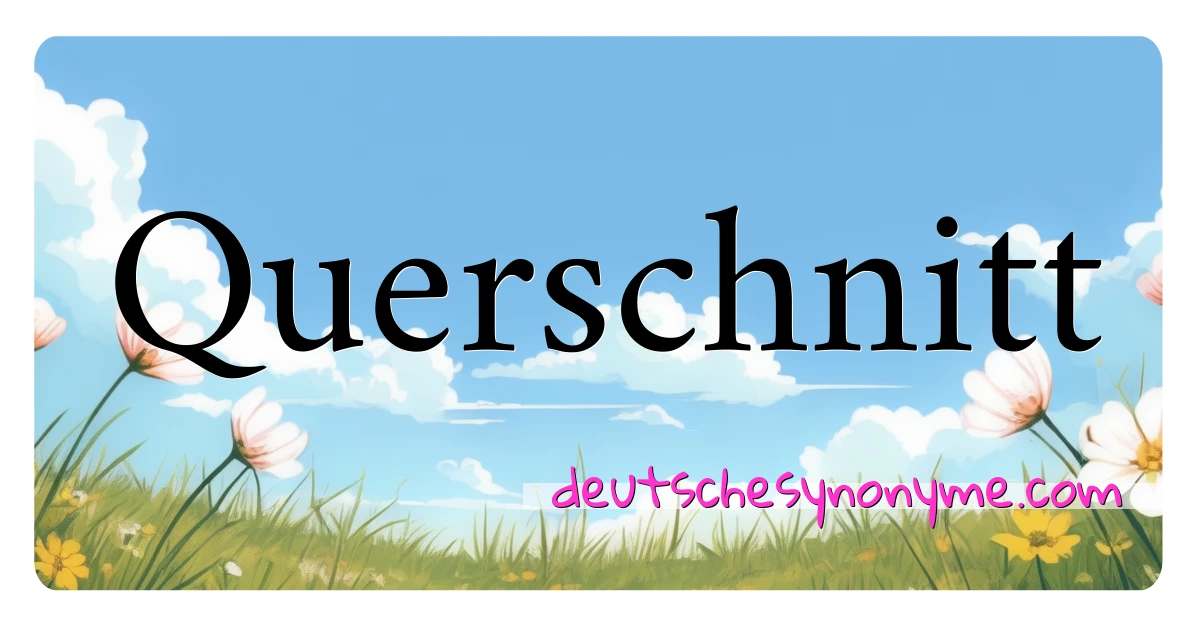 Querschnitt Synonyme Kreuzworträtsel bedeuten Erklärung und Verwendung