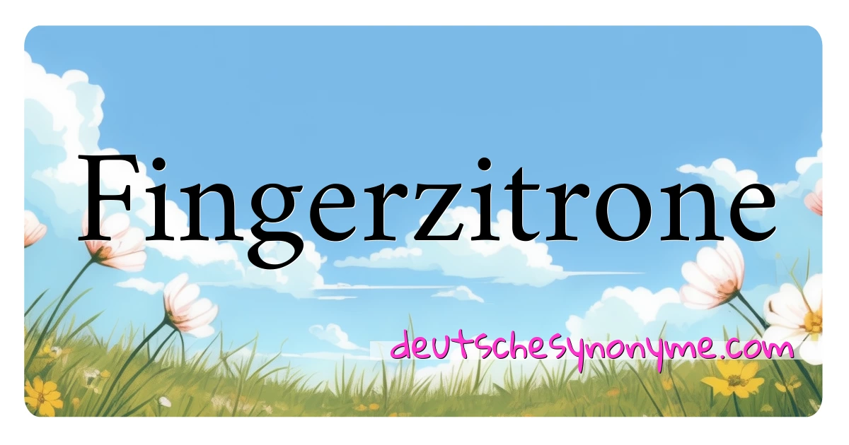 Fingerzitrone Synonyme Kreuzworträtsel bedeuten Erklärung und Verwendung