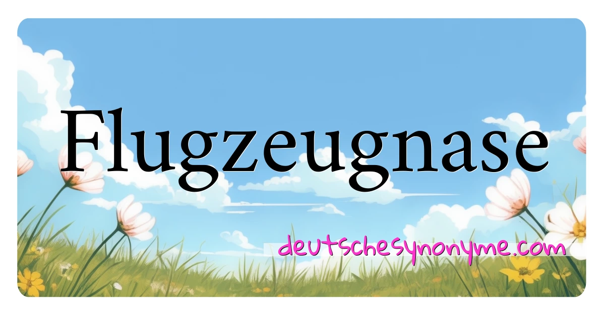 Flugzeugnase Synonyme Kreuzworträtsel bedeuten Erklärung und Verwendung