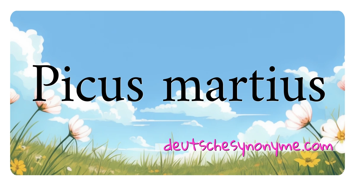 Picus martius Synonyme Kreuzworträtsel bedeuten Erklärung und Verwendung