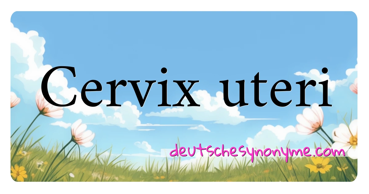 Cervix uteri Synonyme Kreuzworträtsel bedeuten Erklärung und Verwendung