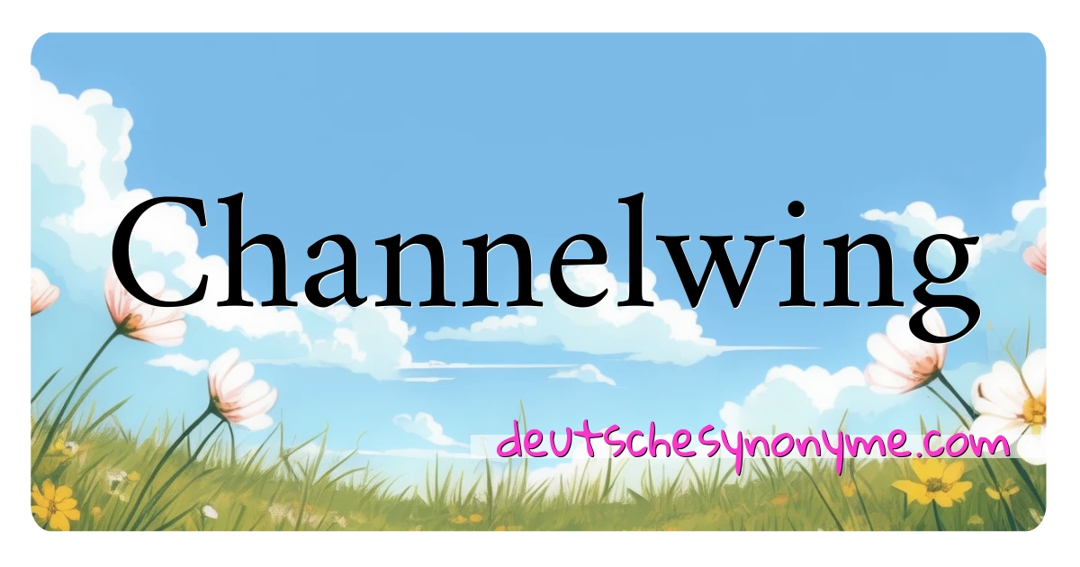 Channelwing Synonyme Kreuzworträtsel bedeuten Erklärung und Verwendung