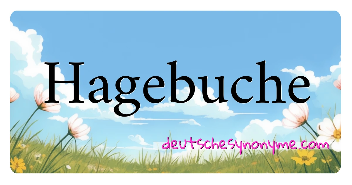 Hagebuche Synonyme Kreuzworträtsel bedeuten Erklärung und Verwendung