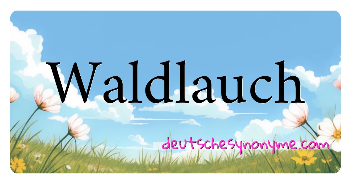 Waldlauch Synonyme Kreuzworträtsel bedeuten Erklärung und Verwendung