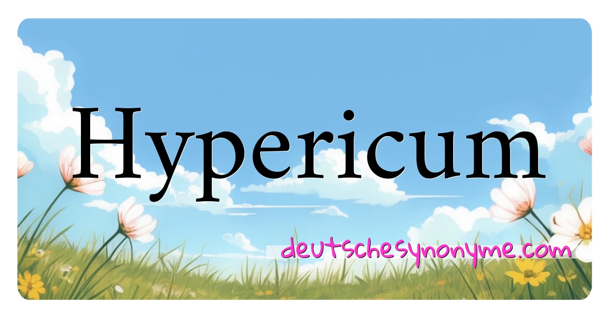 Hypericum Synonyme Kreuzworträtsel bedeuten Erklärung und Verwendung