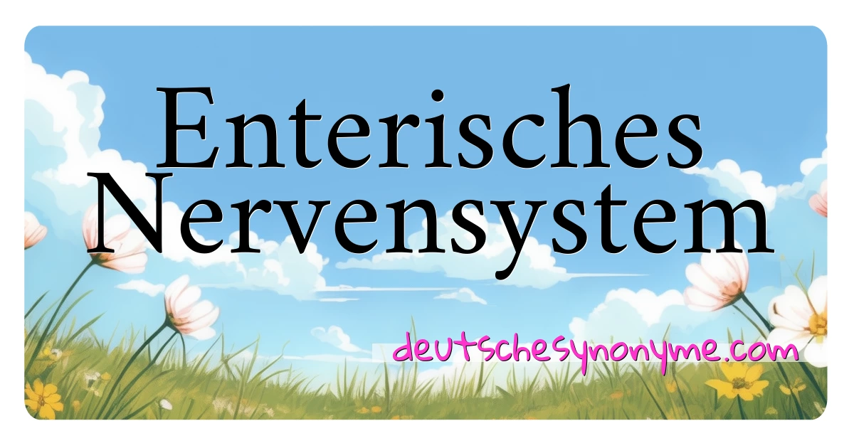 Enterisches Nervensystem Synonyme Kreuzworträtsel bedeuten Erklärung und Verwendung