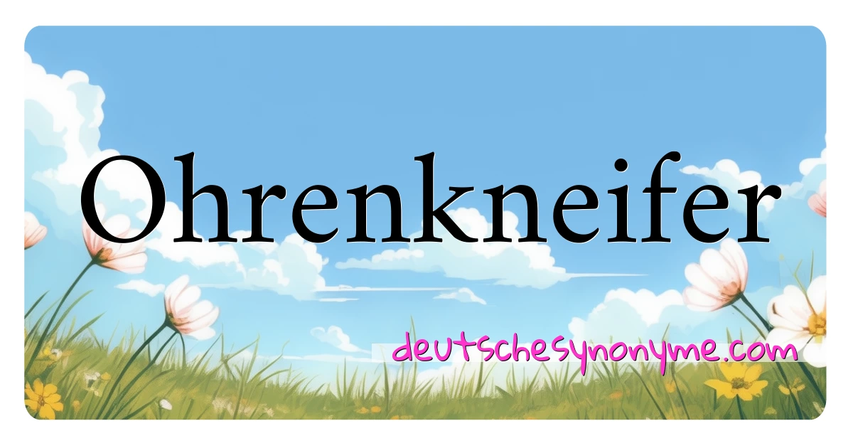 Ohrenkneifer Synonyme Kreuzworträtsel bedeuten Erklärung und Verwendung