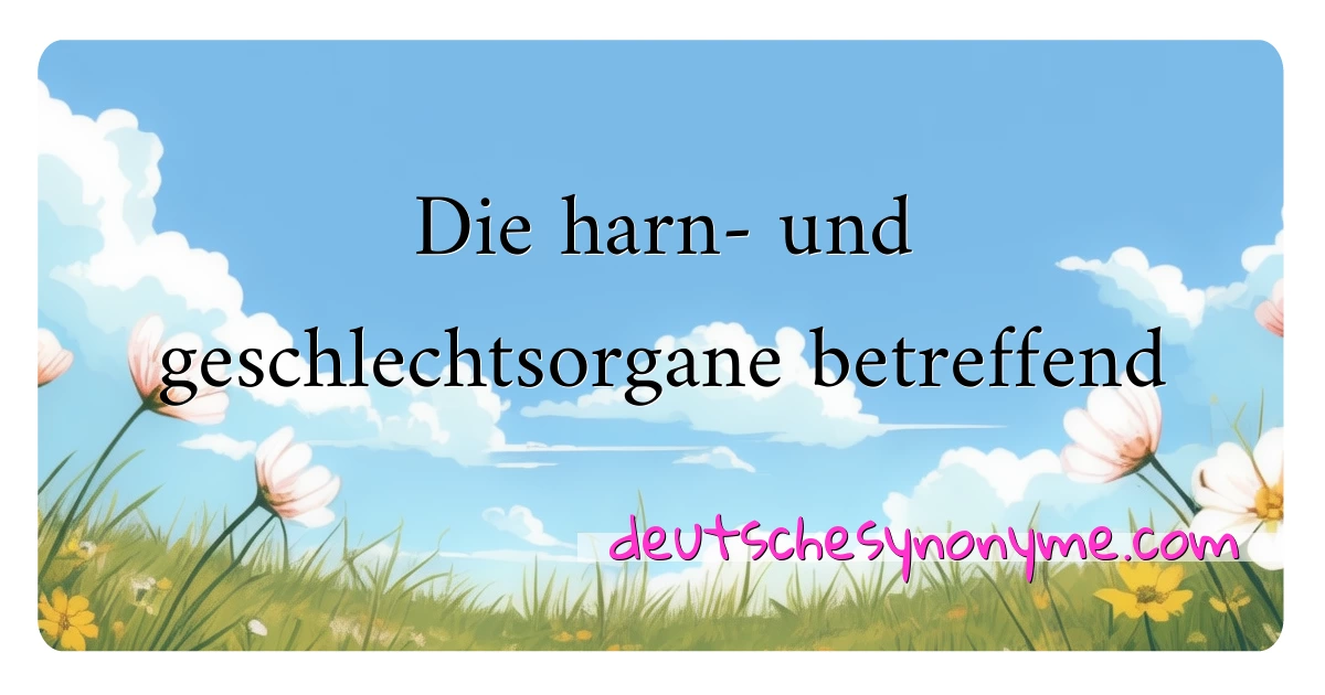 Die harn- und geschlechtsorgane betreffend Synonyme Kreuzworträtsel bedeuten Erklärung und Verwendung