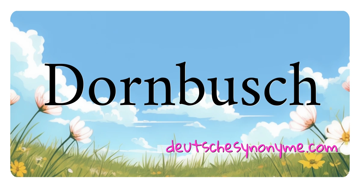 Dornbusch Synonyme Kreuzworträtsel bedeuten Erklärung und Verwendung