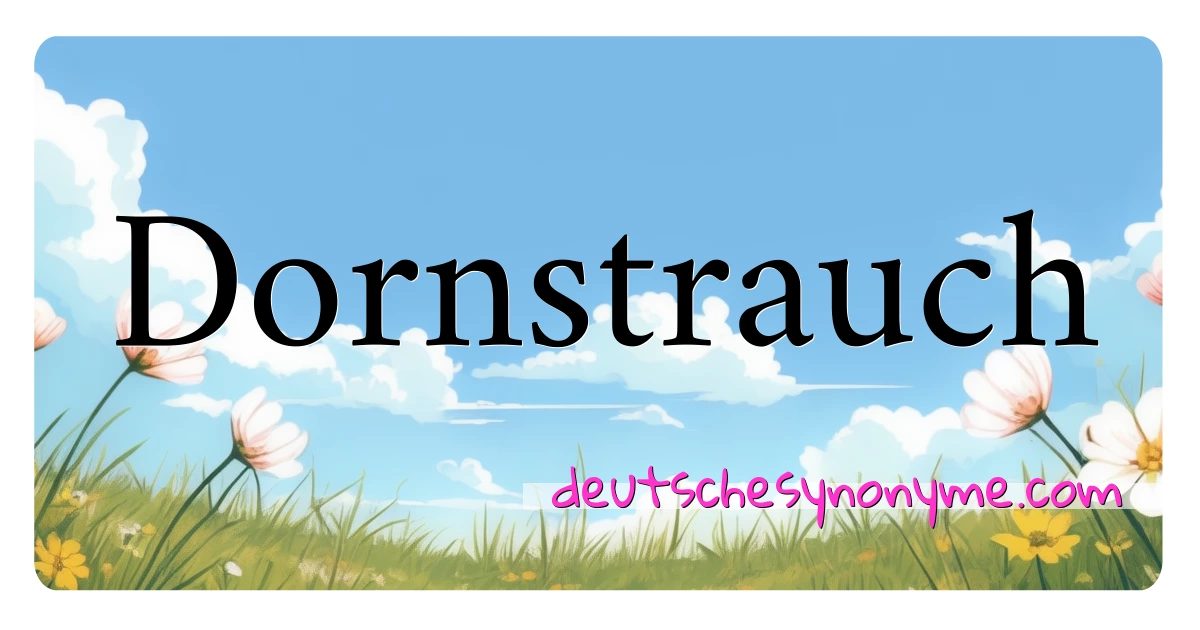 Dornstrauch Synonyme Kreuzworträtsel bedeuten Erklärung und Verwendung