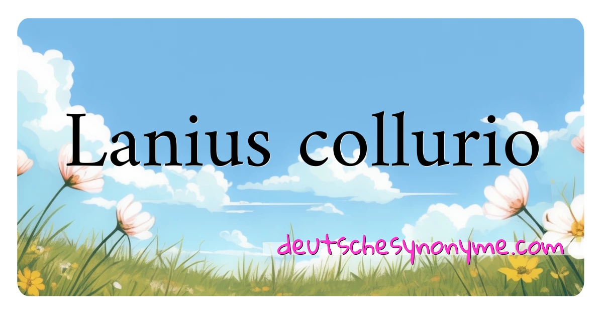 Lanius collurio Synonyme Kreuzworträtsel bedeuten Erklärung und Verwendung