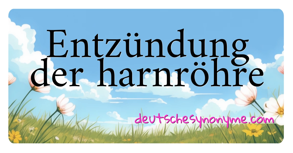 Entzündung der harnröhre Synonyme Kreuzworträtsel bedeuten Erklärung und Verwendung