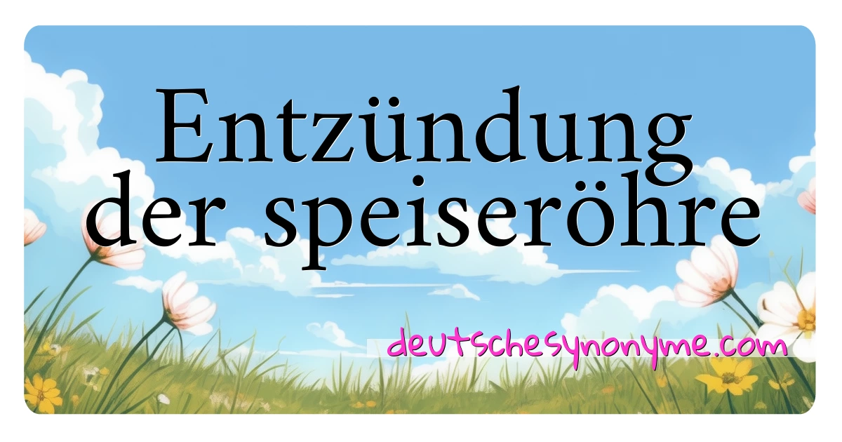 Entzündung der speiseröhre Synonyme Kreuzworträtsel bedeuten Erklärung und Verwendung