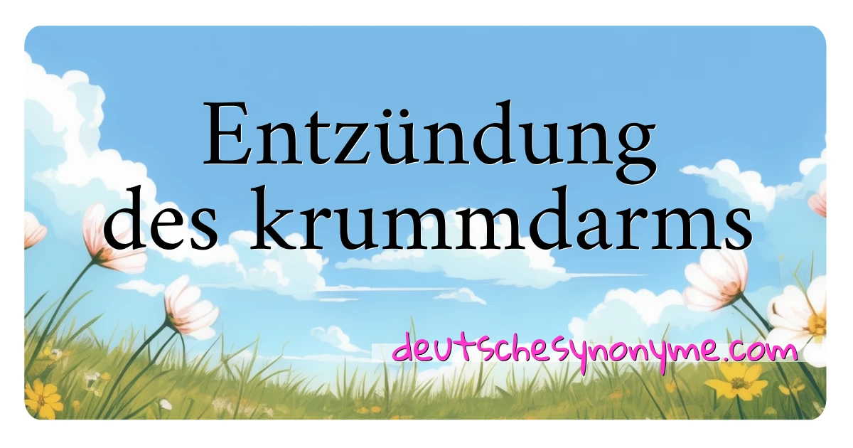 Entzündung des krummdarms Synonyme Kreuzworträtsel bedeuten Erklärung und Verwendung