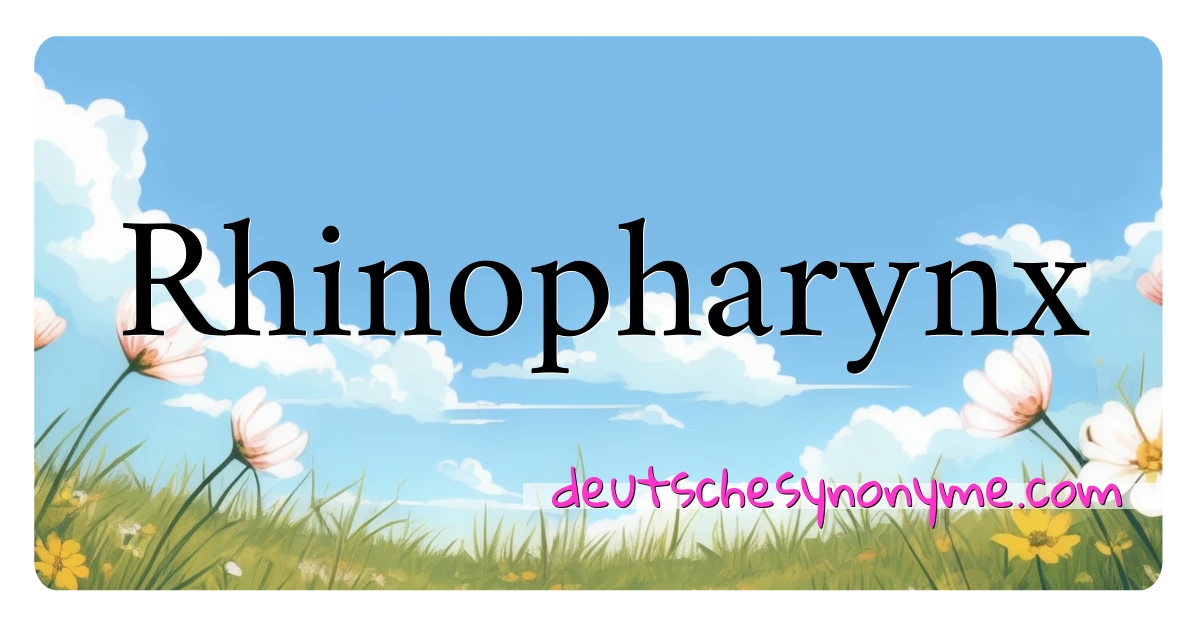 Rhinopharynx Synonyme Kreuzworträtsel bedeuten Erklärung und Verwendung