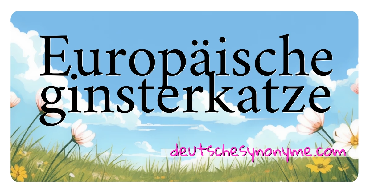 Europäische ginsterkatze Synonyme Kreuzworträtsel bedeuten Erklärung und Verwendung