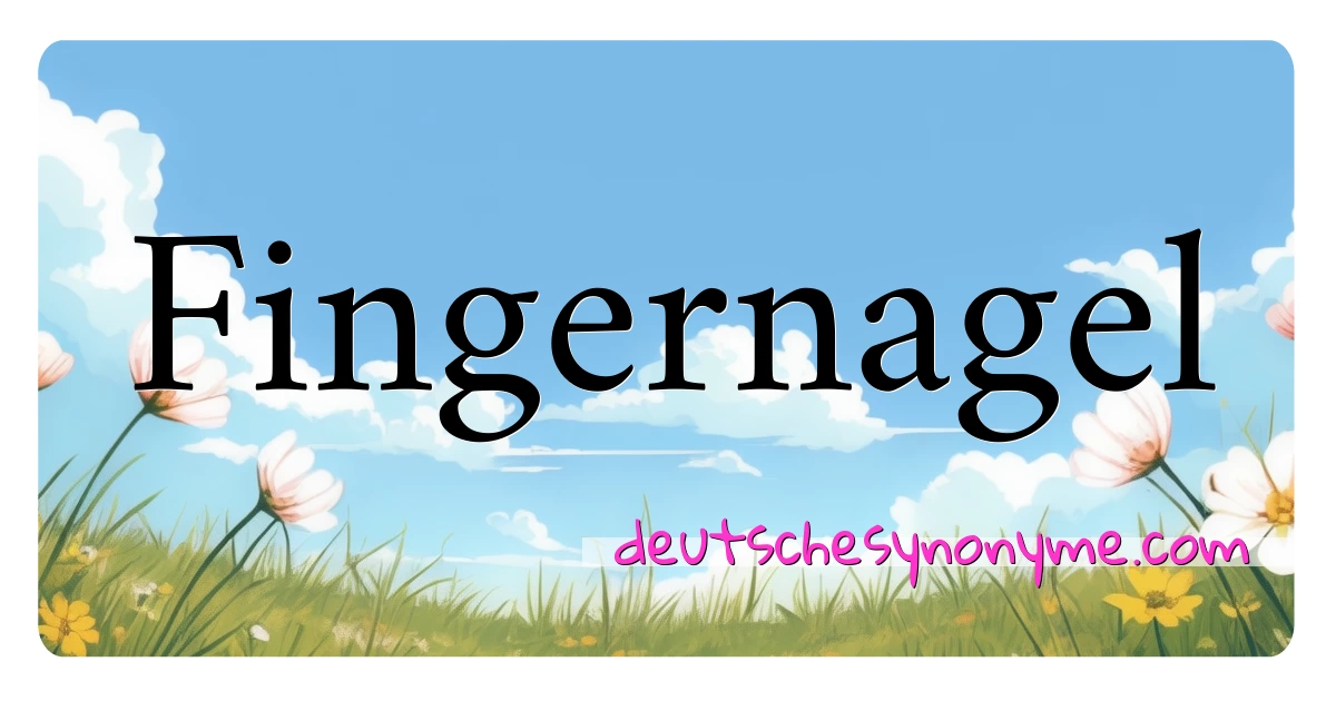 Fingernagel Synonyme Kreuzworträtsel bedeuten Erklärung und Verwendung