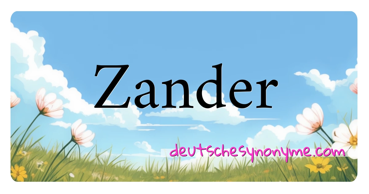 Zander Synonyme Kreuzworträtsel bedeuten Erklärung und Verwendung