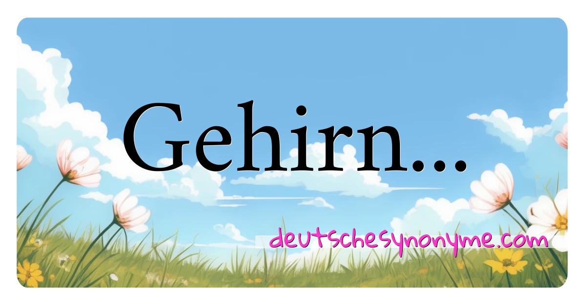 Gehirn... Synonyme Kreuzworträtsel bedeuten Erklärung und Verwendung