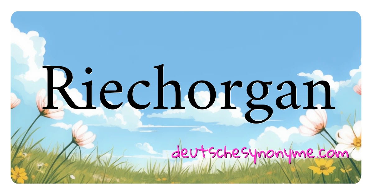 Riechorgan Synonyme Kreuzworträtsel bedeuten Erklärung und Verwendung