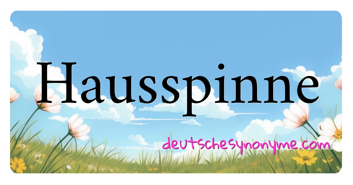 Hausspinne Synonyme Kreuzworträtsel bedeuten Erklärung und Verwendung