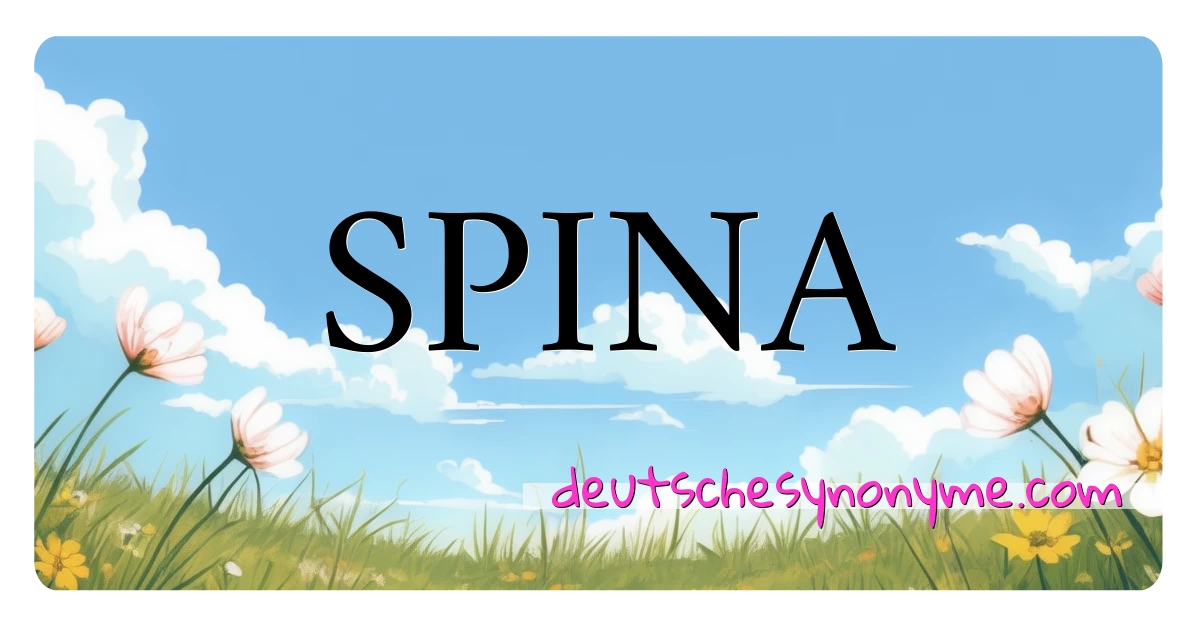 SPINA Synonyme Kreuzworträtsel bedeuten Erklärung und Verwendung