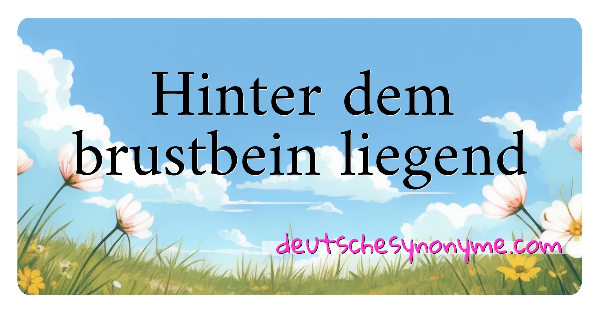 Hinter dem brustbein liegend Synonyme Kreuzworträtsel bedeuten Erklärung und Verwendung