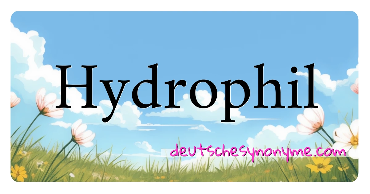 Hydrophil Synonyme Kreuzworträtsel bedeuten Erklärung und Verwendung