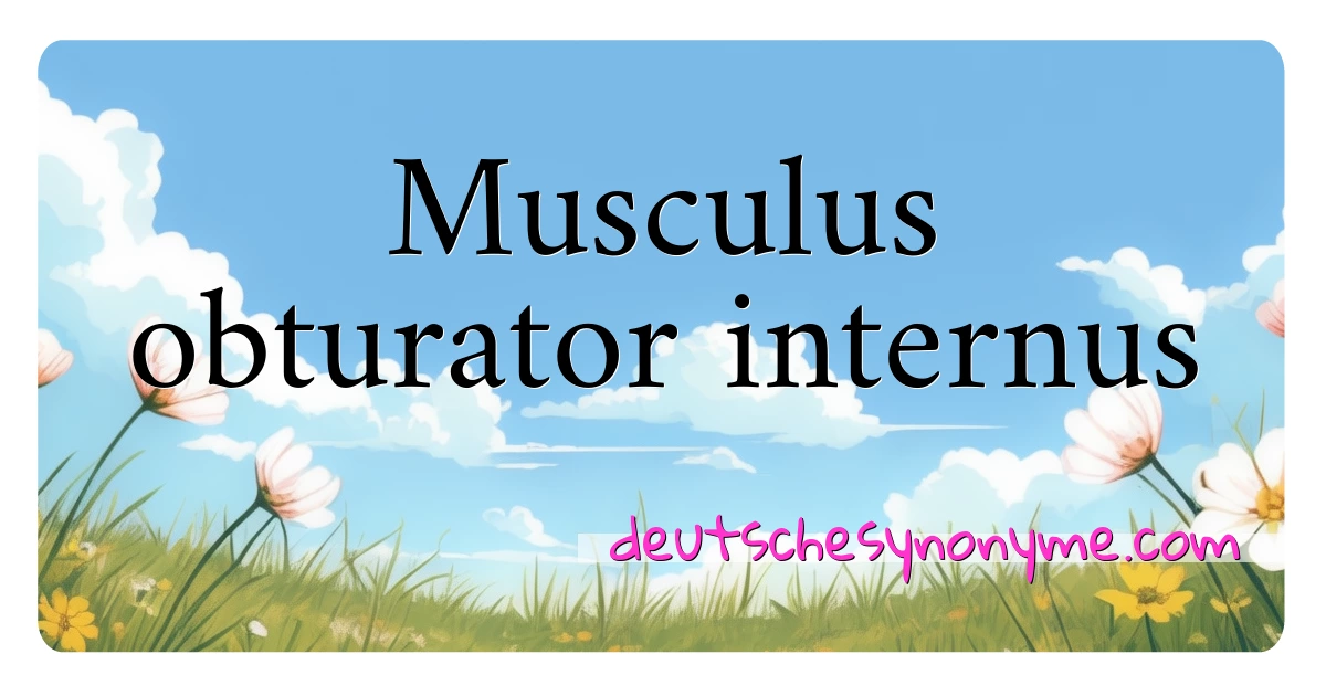 Musculus obturator internus Synonyme Kreuzworträtsel bedeuten Erklärung und Verwendung