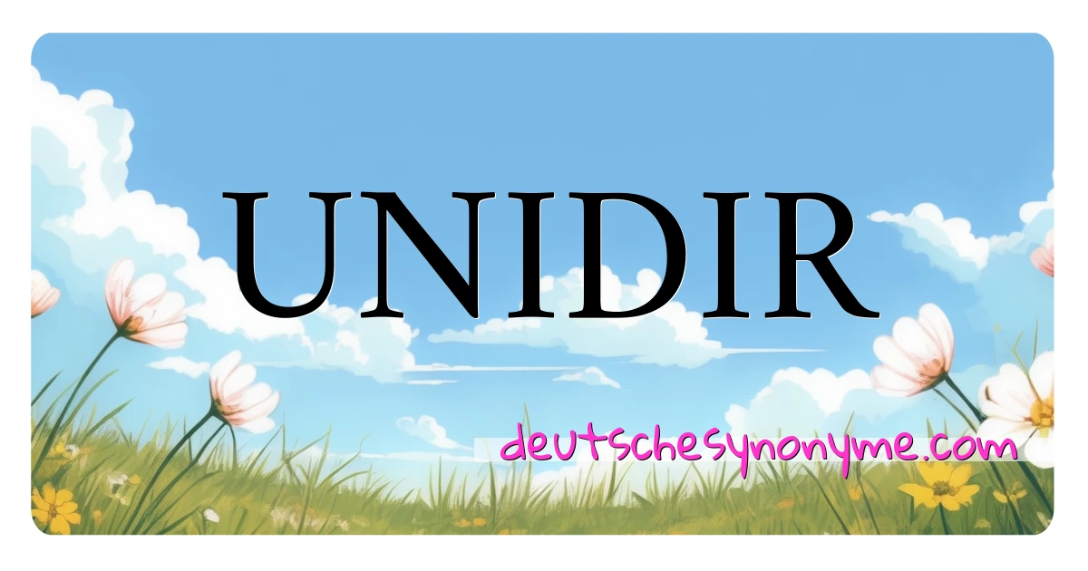 UNIDIR Synonyme Kreuzworträtsel bedeuten Erklärung und Verwendung