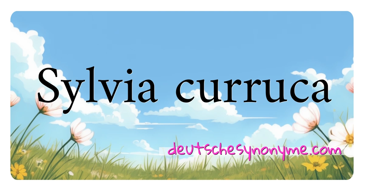 Sylvia curruca Synonyme Kreuzworträtsel bedeuten Erklärung und Verwendung