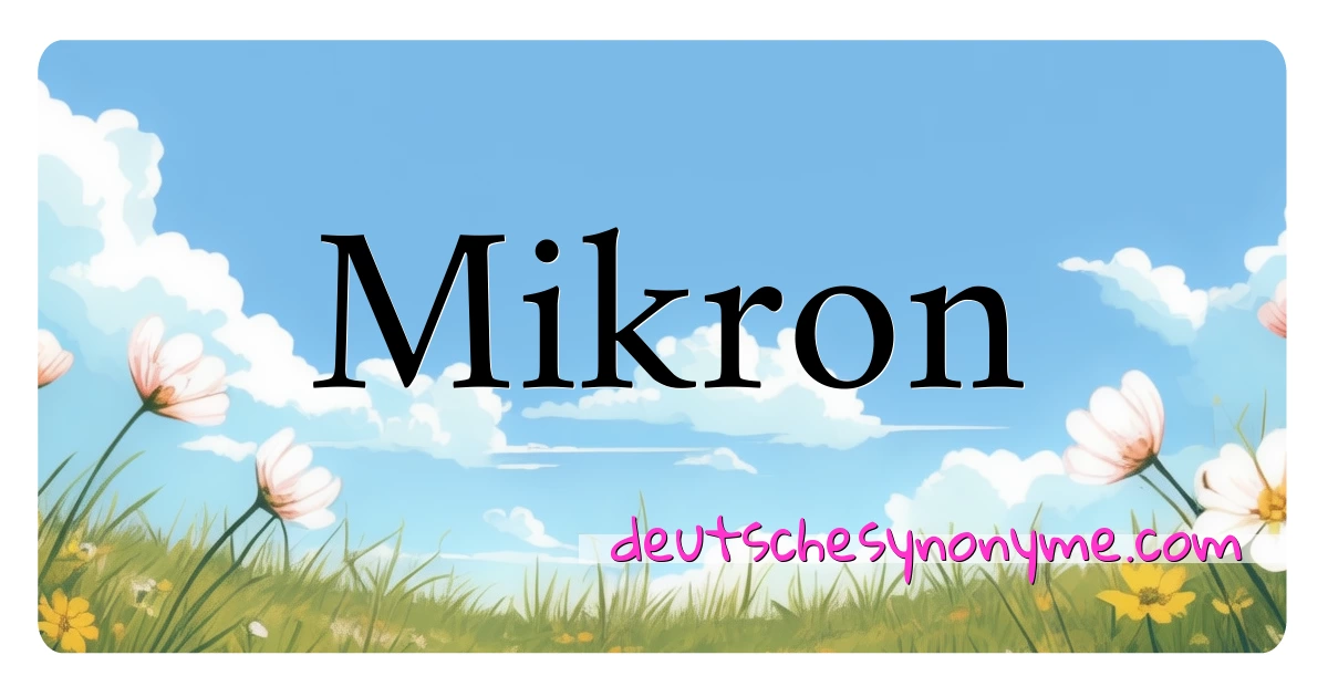 Mikron Synonyme Kreuzworträtsel bedeuten Erklärung und Verwendung