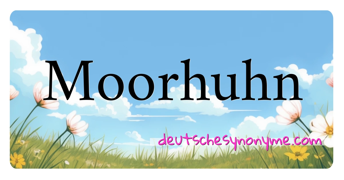 Moorhuhn Synonyme Kreuzworträtsel bedeuten Erklärung und Verwendung