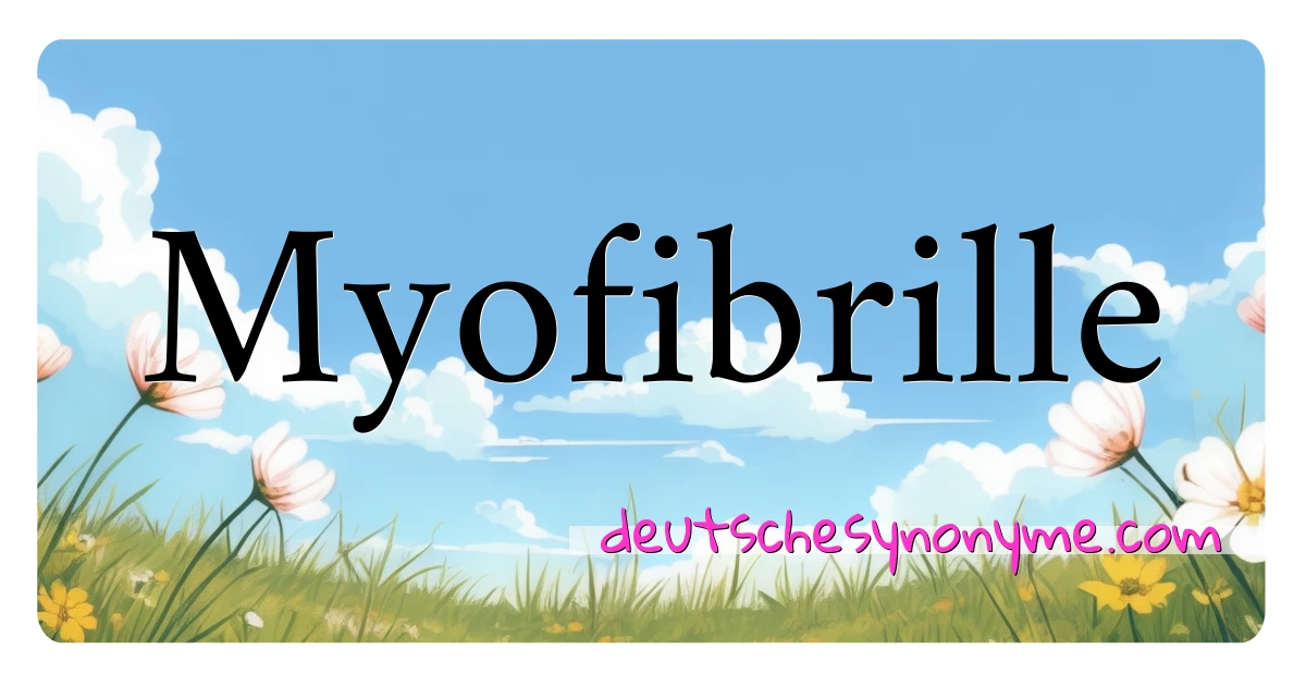 Myofibrille Synonyme Kreuzworträtsel bedeuten Erklärung und Verwendung