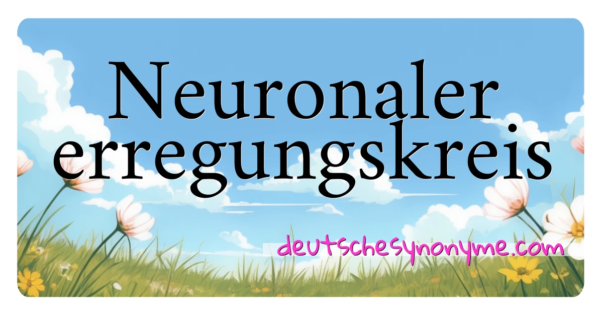 Neuronaler erregungskreis Synonyme Kreuzworträtsel bedeuten Erklärung und Verwendung