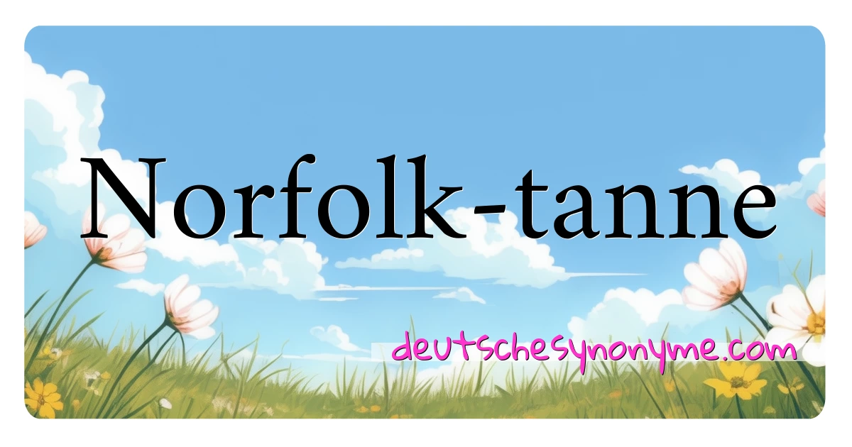 Norfolk-tanne Synonyme Kreuzworträtsel bedeuten Erklärung und Verwendung