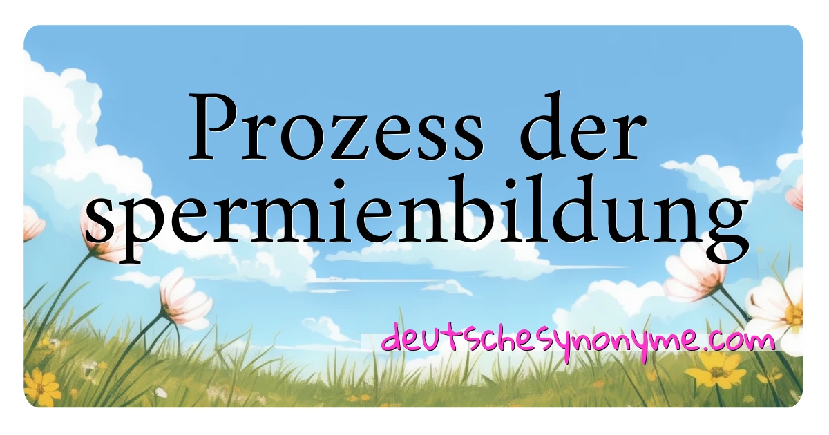 Prozess der spermienbildung Synonyme Kreuzworträtsel bedeuten Erklärung und Verwendung