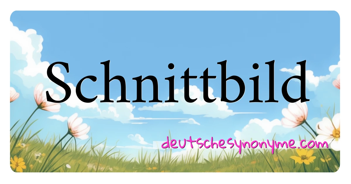 Schnittbild Synonyme Kreuzworträtsel bedeuten Erklärung und Verwendung