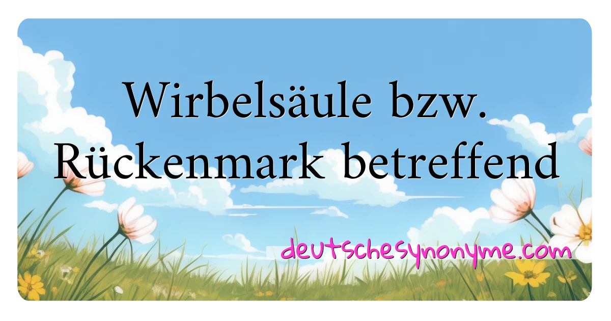 Wirbelsäule bzw. Rückenmark betreffend Synonyme Kreuzworträtsel bedeuten Erklärung und Verwendung