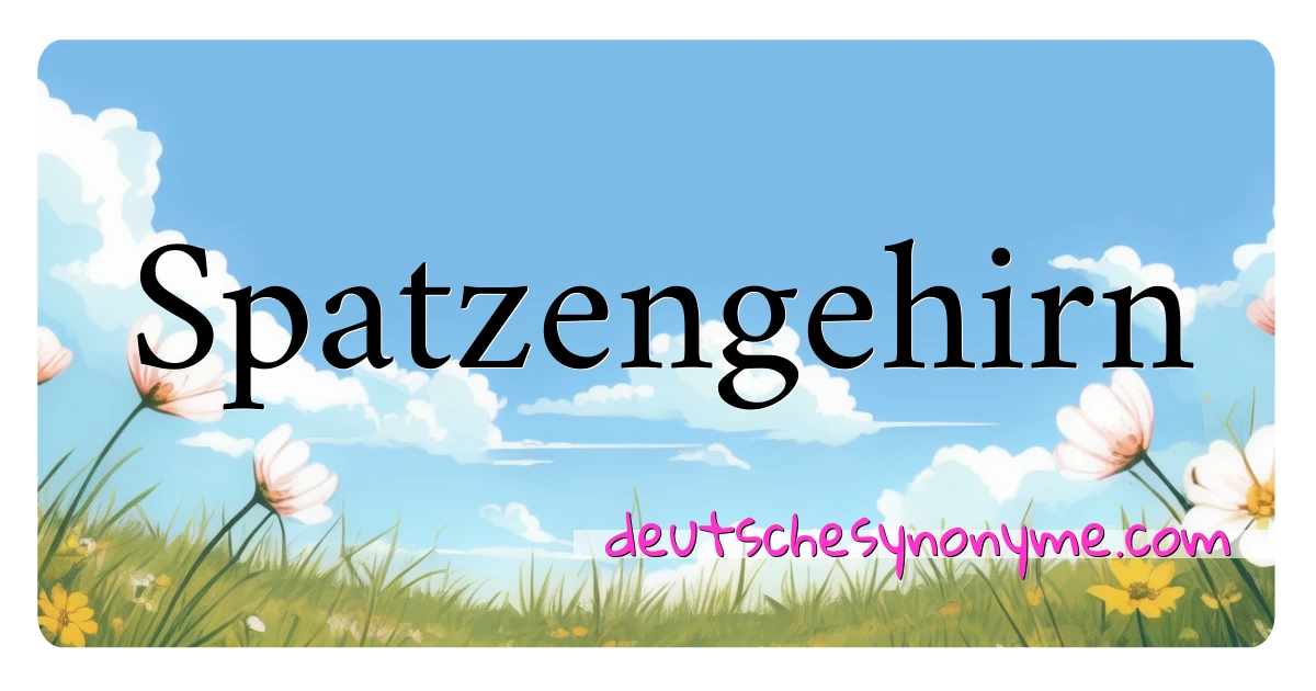 Spatzengehirn Synonyme Kreuzworträtsel bedeuten Erklärung und Verwendung